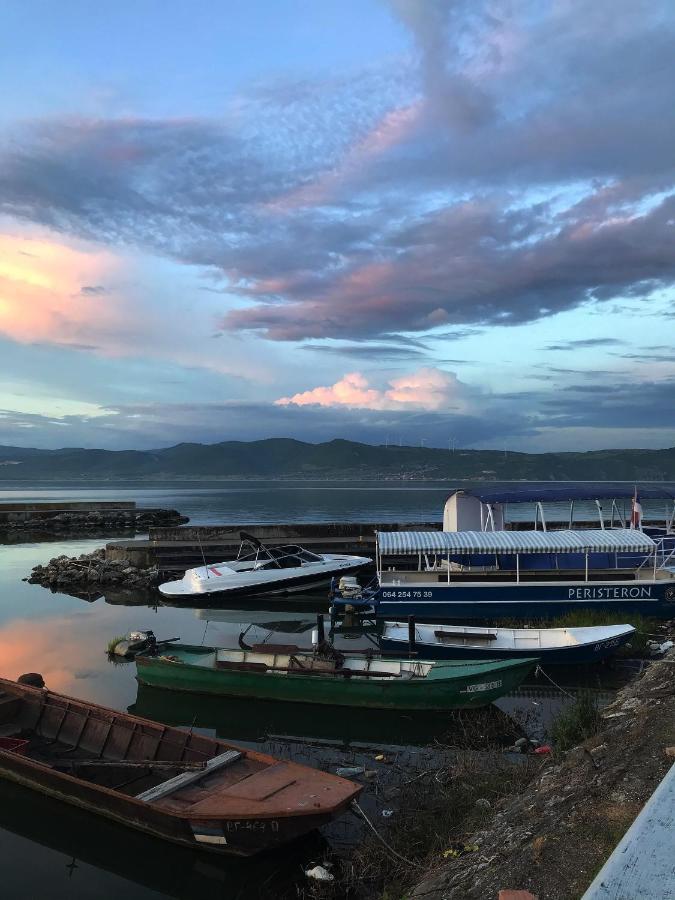 Soba Milojkovic Apartment Golubac Bagian luar foto