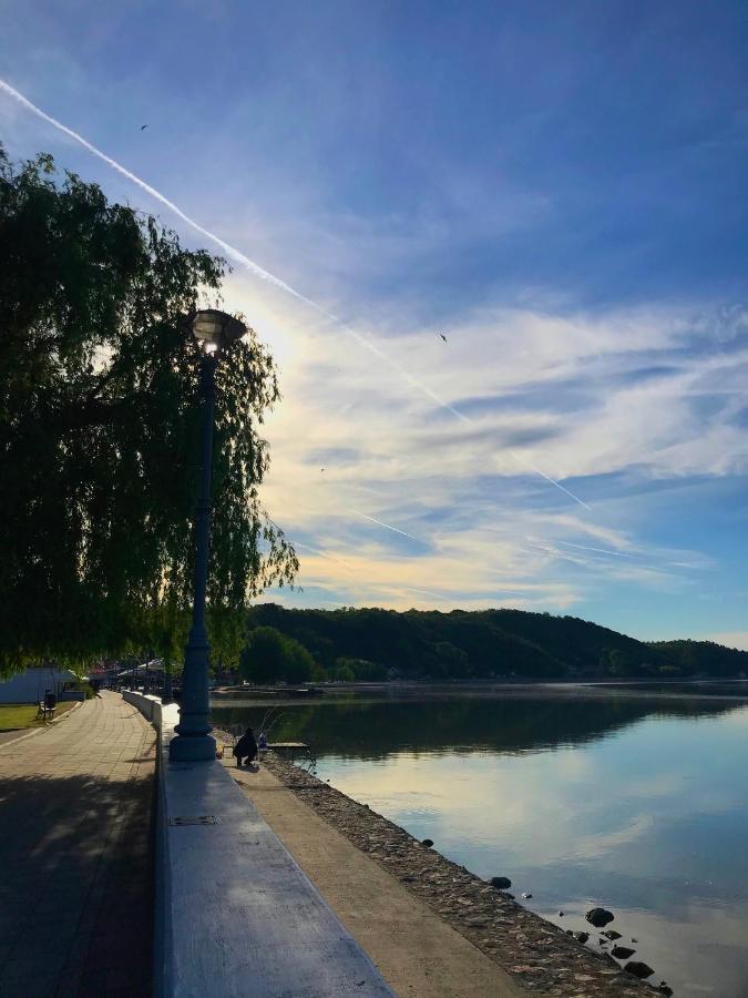 Soba Milojkovic Apartment Golubac Bagian luar foto