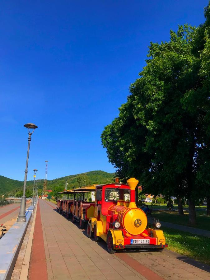 Soba Milojkovic Apartment Golubac Bagian luar foto